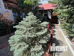 Дом 180м², 2-этажный, посуточно, 