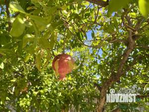 Дом 320м², 4-этажный, посуточно, 