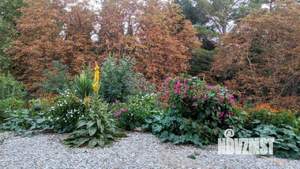 Дом 140м², 1-этажный, посуточно, 