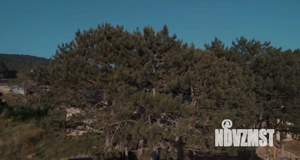 Дом 116м&sup2;, 2-этажный, участок 4 сот.  