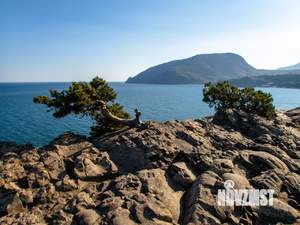 Дом 630м&sup2;, 3-этажный, участок 15 сот.  