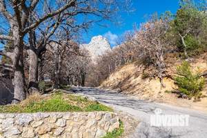 Дом 56м&sup2;, 2-этажный, участок 15 сот.  