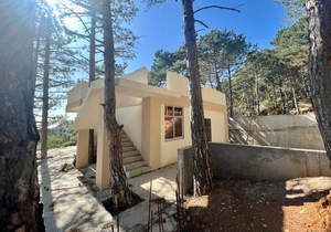 Дом 295м&sup2;, 3-этажный, участок 4 сот.  