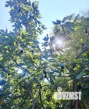 Дом 168м², 2-этажный, участок 8 сот.  