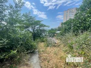 Дом 85м&sup2;, 1-этажный, участок 5 сот.  