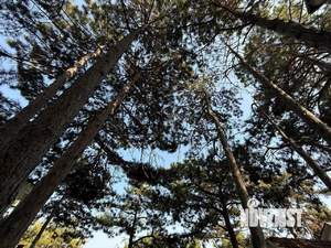 Дом 700м², 4-этажный, участок 9 сот.  