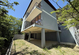 Дом 219м², 2-этажный, участок 3 сот.  