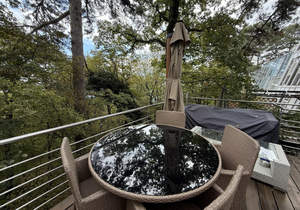 Дом 275м², 4-этажный, участок 2 сот.  