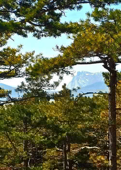 Дом 229м&sup2;, 3-этажный, участок 4 сот.  