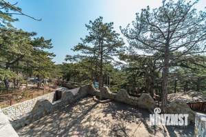 Коттедж 610м&sup2;, 5-этажный, участок 20 сот.  