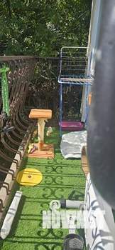 Дом 112м², 3-этажный, участок 1 сот.  