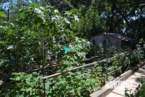 Дом 130м², 2-этажный, участок 5 сот.  