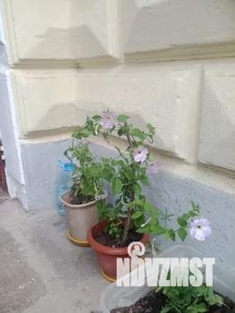 Студия квартира, посуточно, 30м2, 1/2 этаж