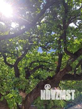 Студия квартира, посуточно, 40м2, 1/5 этаж