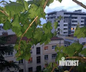 3-к квартира, посуточно, 90м2, 2/5 этаж