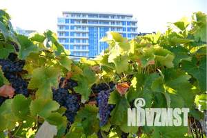 1-к квартира, посуточно, 35м2, 6/9 этаж