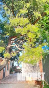 2-к квартира, посуточно, 60м2, 1/2 этаж