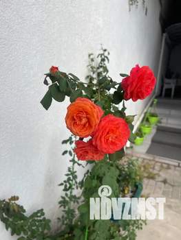 1-к квартира, посуточно, 40м2, 1/5 этаж