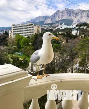 1-к квартира, посуточно, 35м2, 4/7 этаж