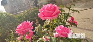 2-к квартира, на длительный срок, 45м2, 7/9 этаж