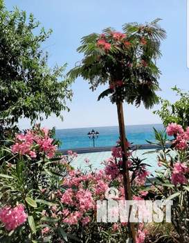 Студия квартира, посуточно, 28м2, 3/5 этаж