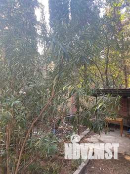 3-к квартира, посуточно, 70м2, 1/2 этаж