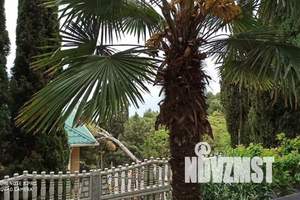 2-к квартира, посуточно, 80м2, 1/3 этаж