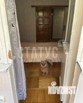 3-к квартира, на длительный срок, 65м2, 3/5 этаж