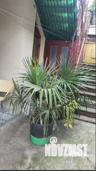 1-к квартира, на длительный срок, 22м2, 2/3 этаж