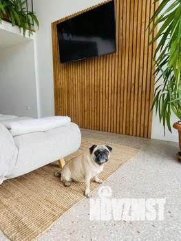 1-к квартира, посуточно, 72м2, 1/1 этаж