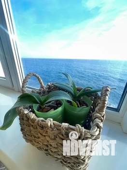 1-к квартира, посуточно, 25м2, 4/9 этаж