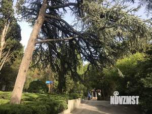 2-к квартира, посуточно, 45м2, 7/8 этаж