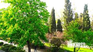 2-к квартира, посуточно, 60м2, 2/2 этаж