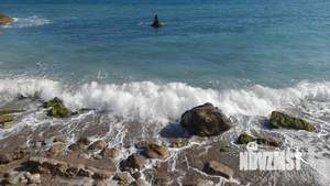 1-к квартира, посуточно, 44м2, 9/9 этаж