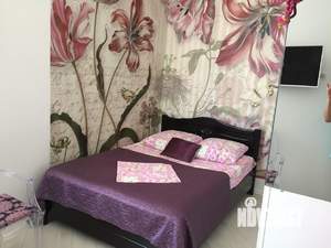 1-к квартира, посуточно, 15м2, 1/3 этаж