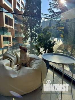 Студия квартира, на длительный срок, 32м2, 2/8 этаж