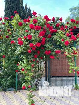 1-к квартира, посуточно, 44м2, 1/1 этаж