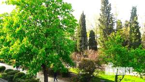 2-к квартира, на длительный срок, 60м2, 2/2 этаж