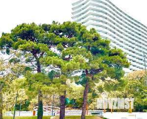 1-к квартира, посуточно, 60м2, 11/20 этаж