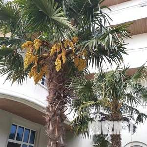 2-к квартира, посуточно, 43м2, 1/1 этаж