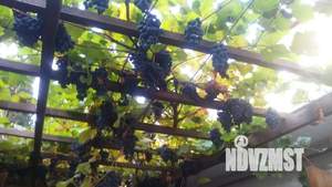 3-к квартира, посуточно, 45м2, 1/1 этаж