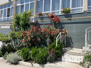 Студия квартира, посуточно, 35м2, 6/6 этаж