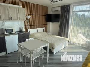 Студия квартира, посуточно, 30м2, 2/3 этаж