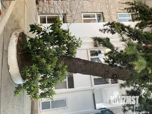 2-к квартира, посуточно, 50м2, 1/2 этаж