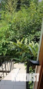 1-к квартира, посуточно, 27м2, 2/2 этаж