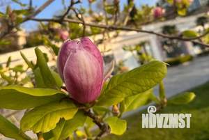 1-к квартира, посуточно, 41м2, 7/17 этаж