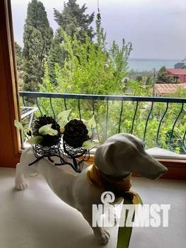 2-к квартира, посуточно, 68м2, 2/3 этаж