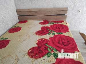 Студия квартира, посуточно, 22м2, 2/5 этаж
