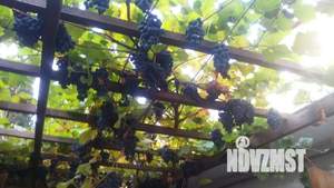 3-к квартира, посуточно, 45м2, 1/1 этаж