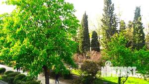 2-к квартира, посуточно, 62м2, 2/2 этаж